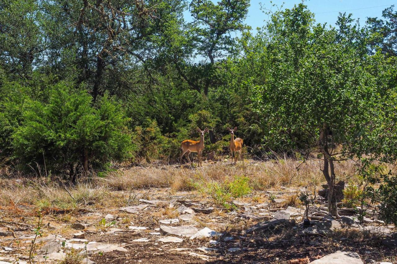 Cozy Kerrville Guest Cottage Near Guadalupe River! Luaran gambar